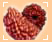 Rudraksh
