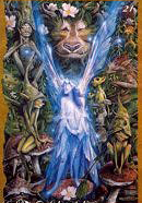 Faeries
